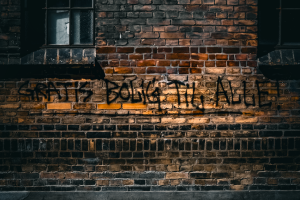 Bidrag